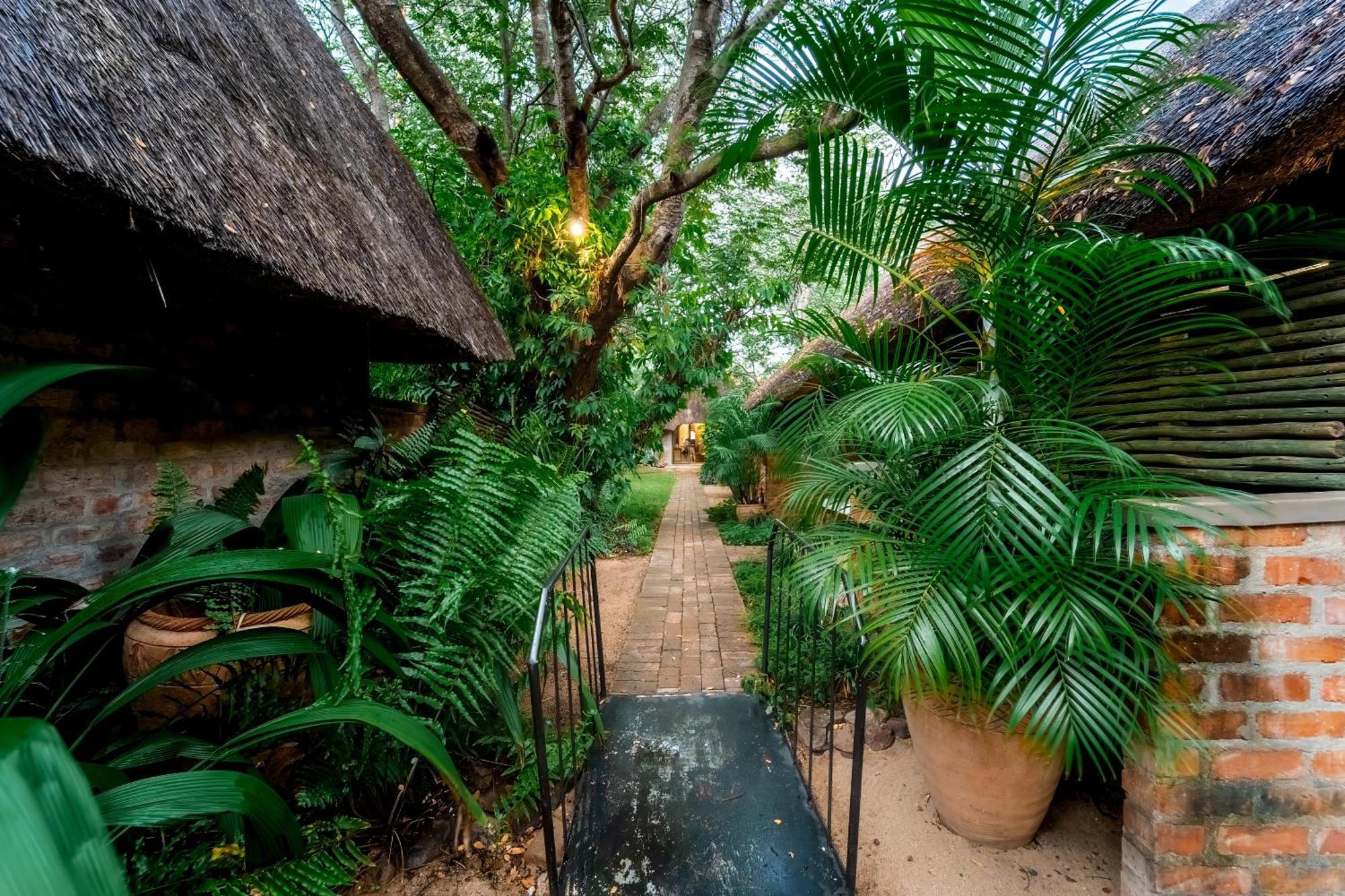 Nguni Lodge ヴィクトリア・フォールズ エクステリア 写真